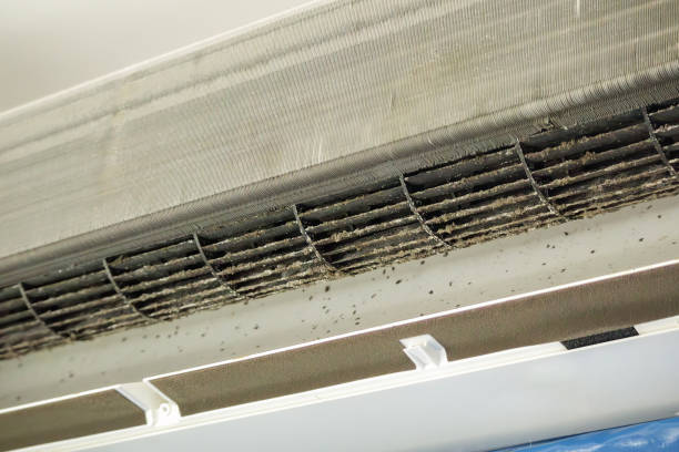 Best Air Vent Cleaning Services  in Sunny Isles Beach, FL